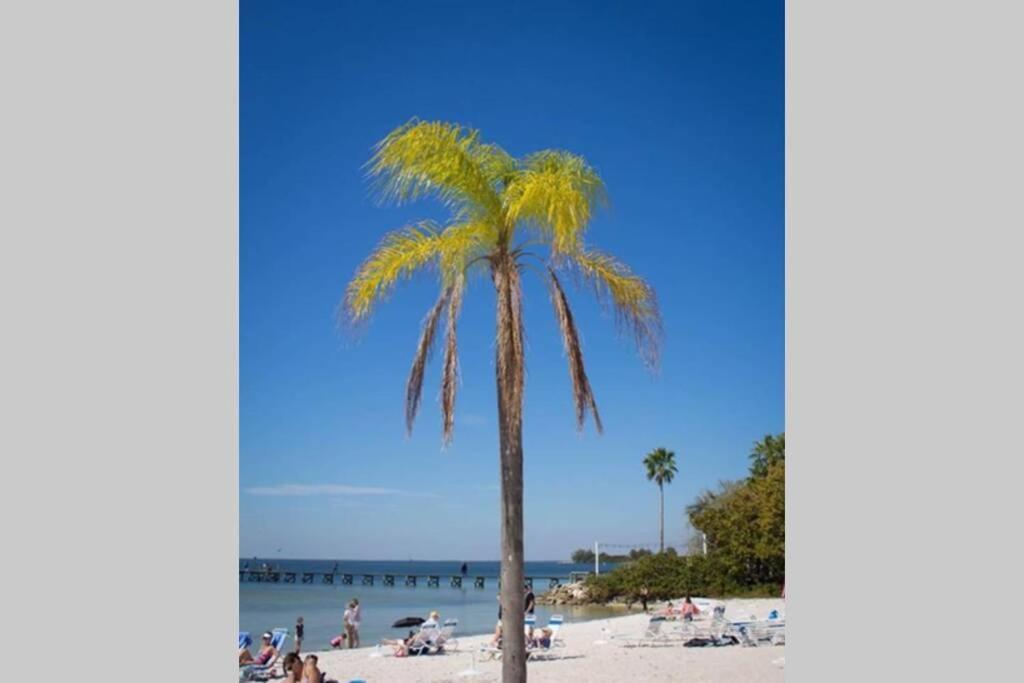 Little Harbor Resort #114 Tampa Bay Fl Beach, Bayside & 2 Pools Ruskin Exterior foto